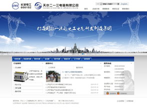 西安硅峰网络 以数字化方案赋能天水二一三电器，铸就工业制造企业信息化新标杆