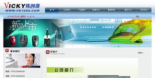 三亚椰浪网络科技 一站式专业网站建设与软件开发服务