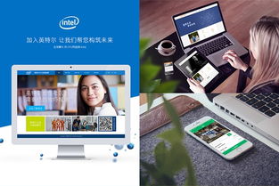 全方位数字化转型服务 从小程序到软件开发的完整解决方案